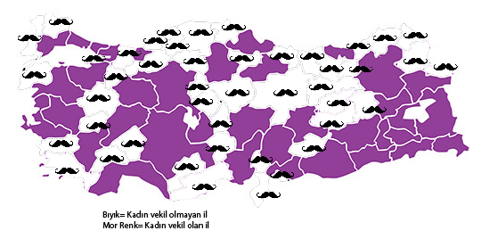 Türkiye Kadın Dernekleri Federasyonu'nun hazırladığı “bıyıklı ve bıyıksız şehirler