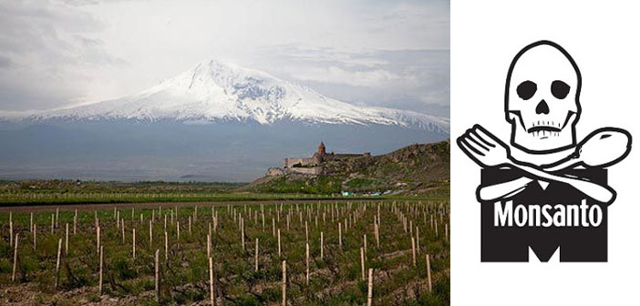 Çevre örgütlerinden Monsanto’ya çağrı: Ermenistan’a gelme
