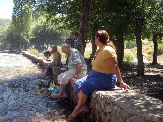 FOTOĞRAFLAR: Lora Baytar Çapar