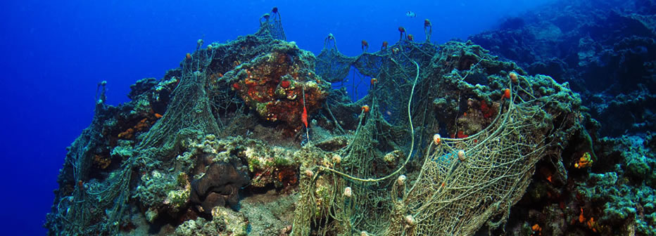 Gırgır ağları deniz dibindeki doğal resiflere takılıyor. 
