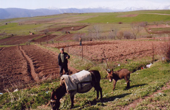 Dünya Bankası'ndan Ermenistan tarımı için 33 milyon dolar kredi 