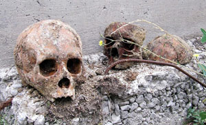 Ardahan'da temel kazısında kemikler bulundu
