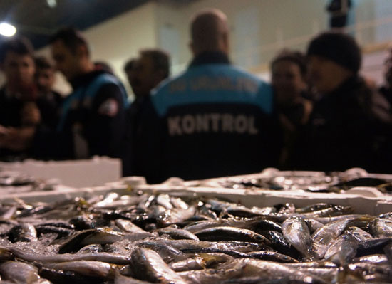 Kumkapı'da 5 ton balığa el kondu