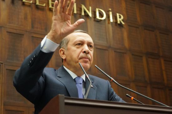 Erdoğan: Silahlar bırakıldığı anda başka ülkelere gitme gündeme gelebilir