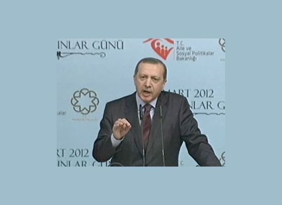 Erdoğan Mardin'de teröre karşı destek istedi