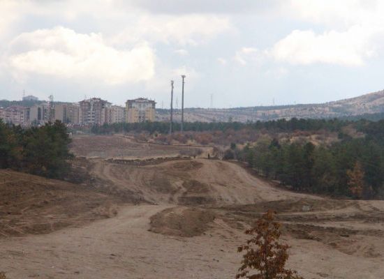 ODTÜ Rektörlüğü ‘ağaç ,dikme eylemi’ yapacak